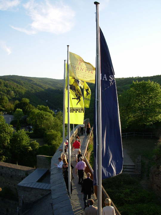 DSCN0353